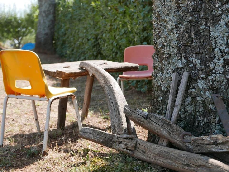 Al Bosco Delle Api Hotell Gallicchio Exteriör bild