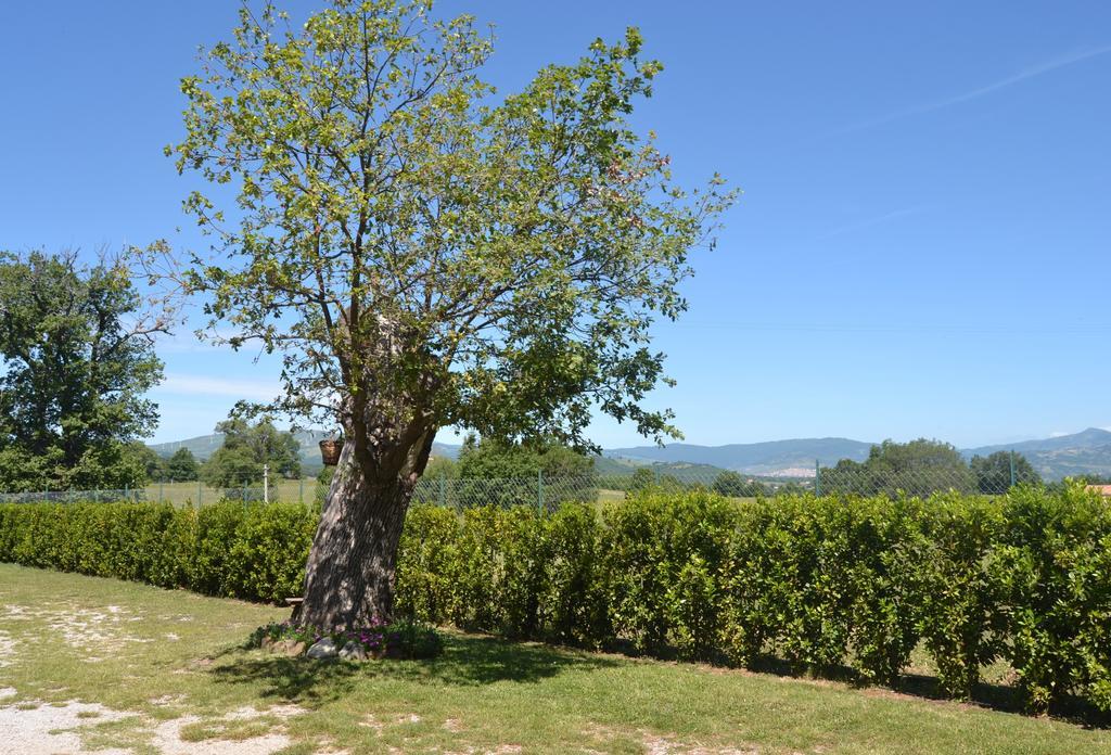 Al Bosco Delle Api Hotell Gallicchio Exteriör bild