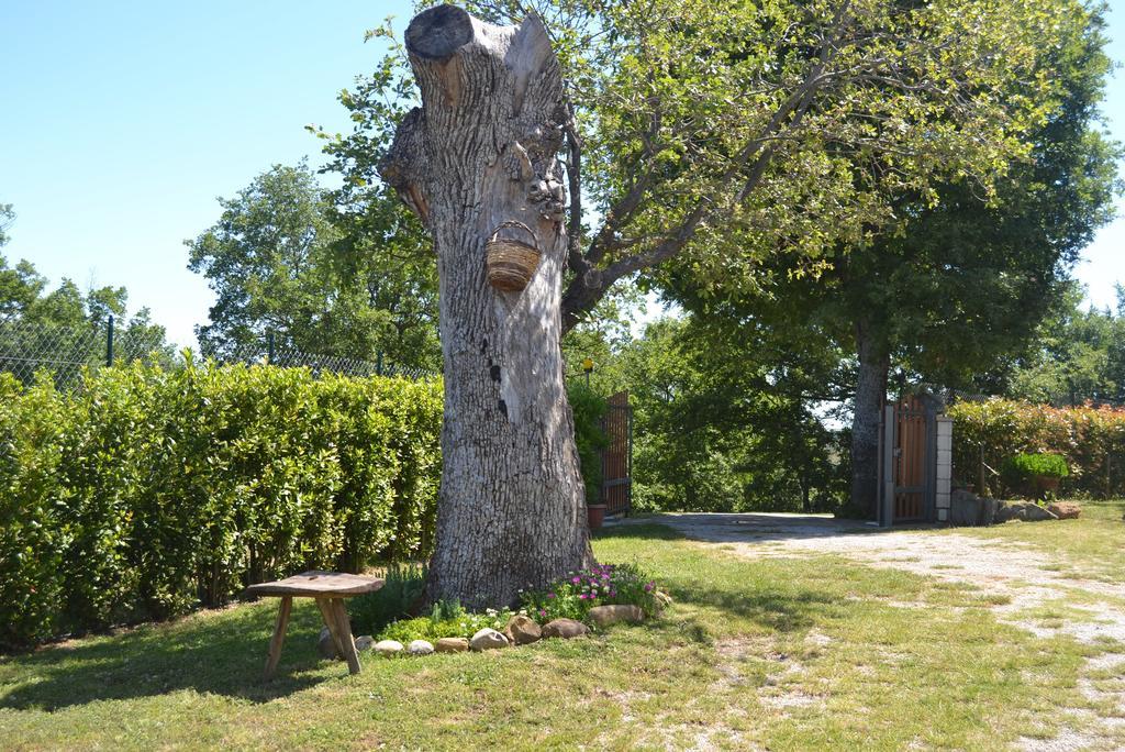 Al Bosco Delle Api Hotell Gallicchio Exteriör bild