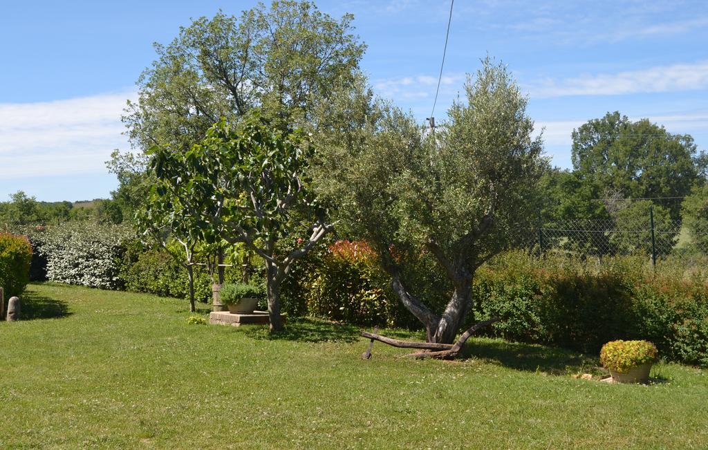 Al Bosco Delle Api Hotell Gallicchio Exteriör bild