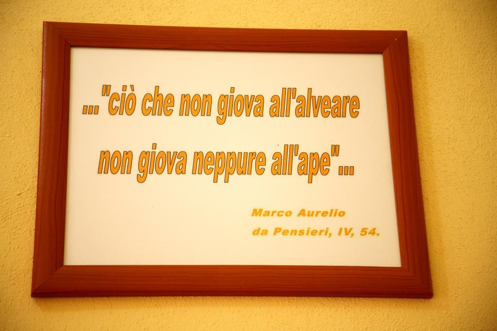 Al Bosco Delle Api Hotell Gallicchio Exteriör bild
